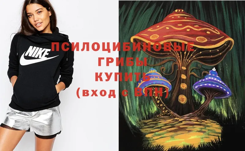 магазин  наркотиков  Касимов  Псилоцибиновые грибы Psilocybe 